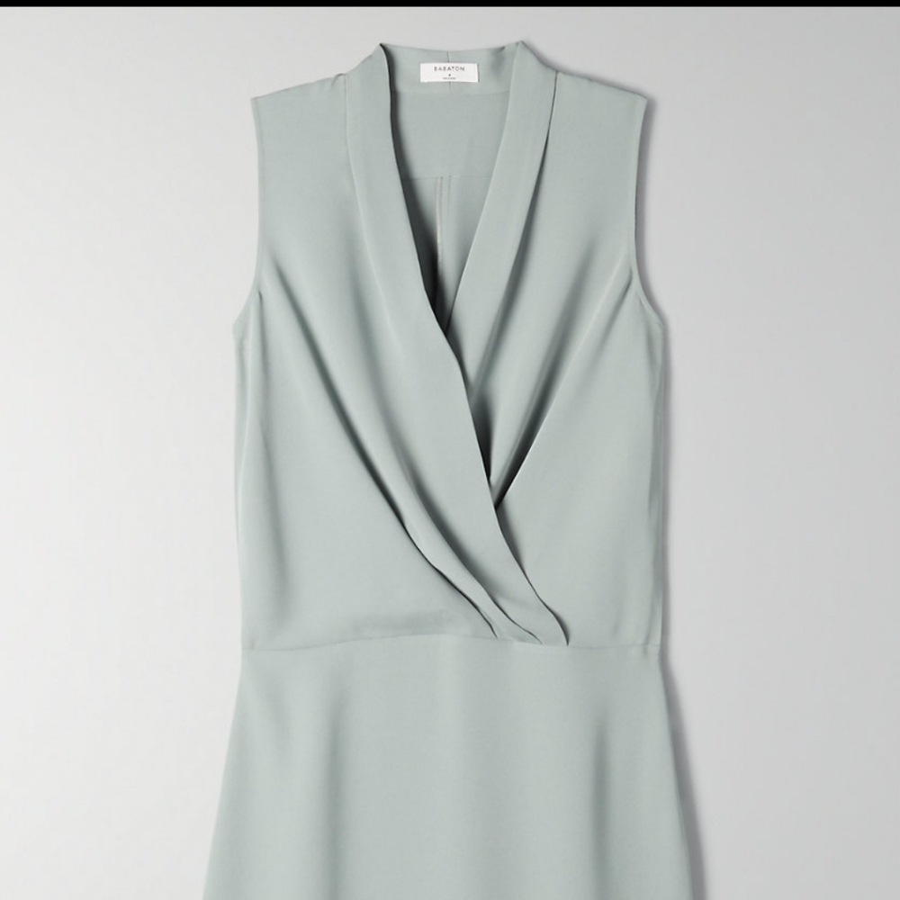 Aritzia Babaton Phoenix Dress